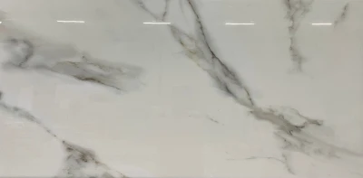 Calacatta Gold Glans Venere  60 x 120